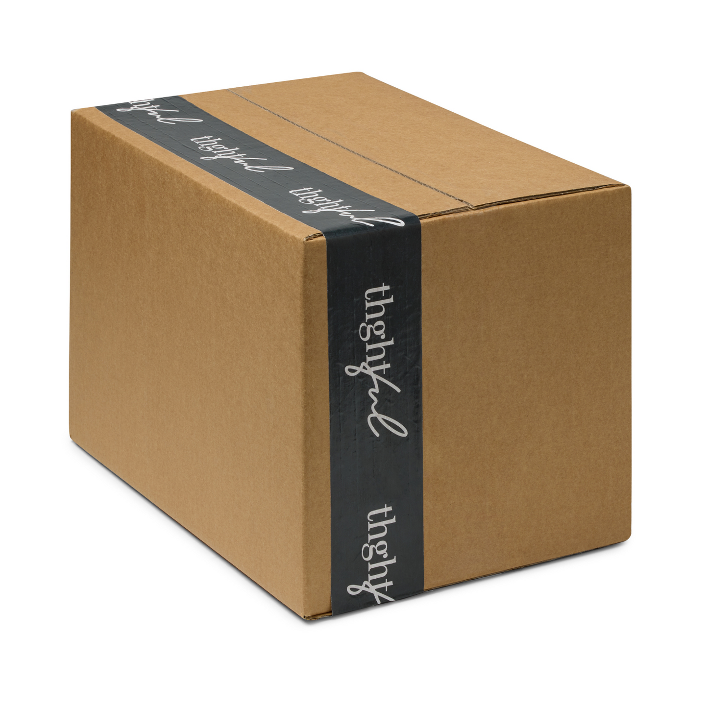 Wholesale 100 x Salted Pretzels 40g ($2.50 each)